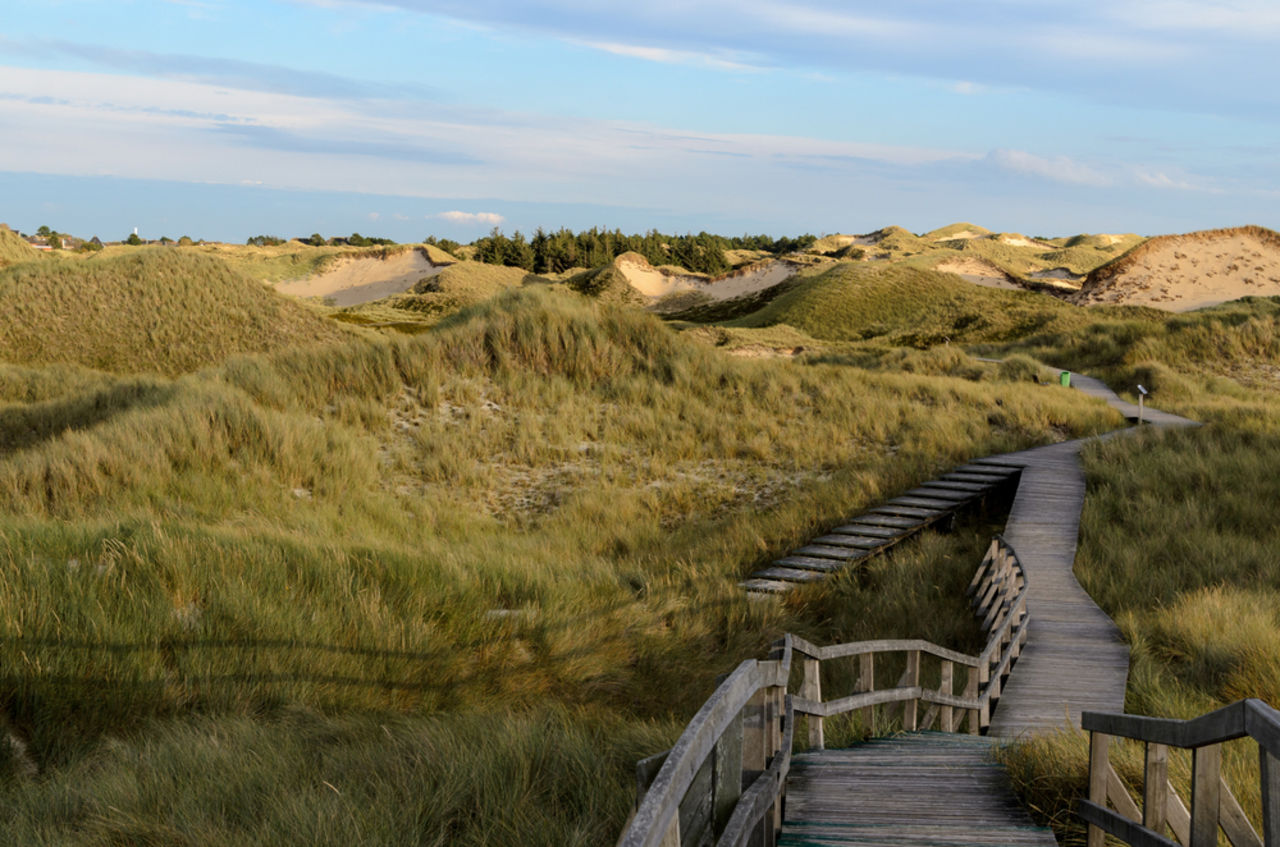 Hölzerner Weg zum Strand auf Amrum